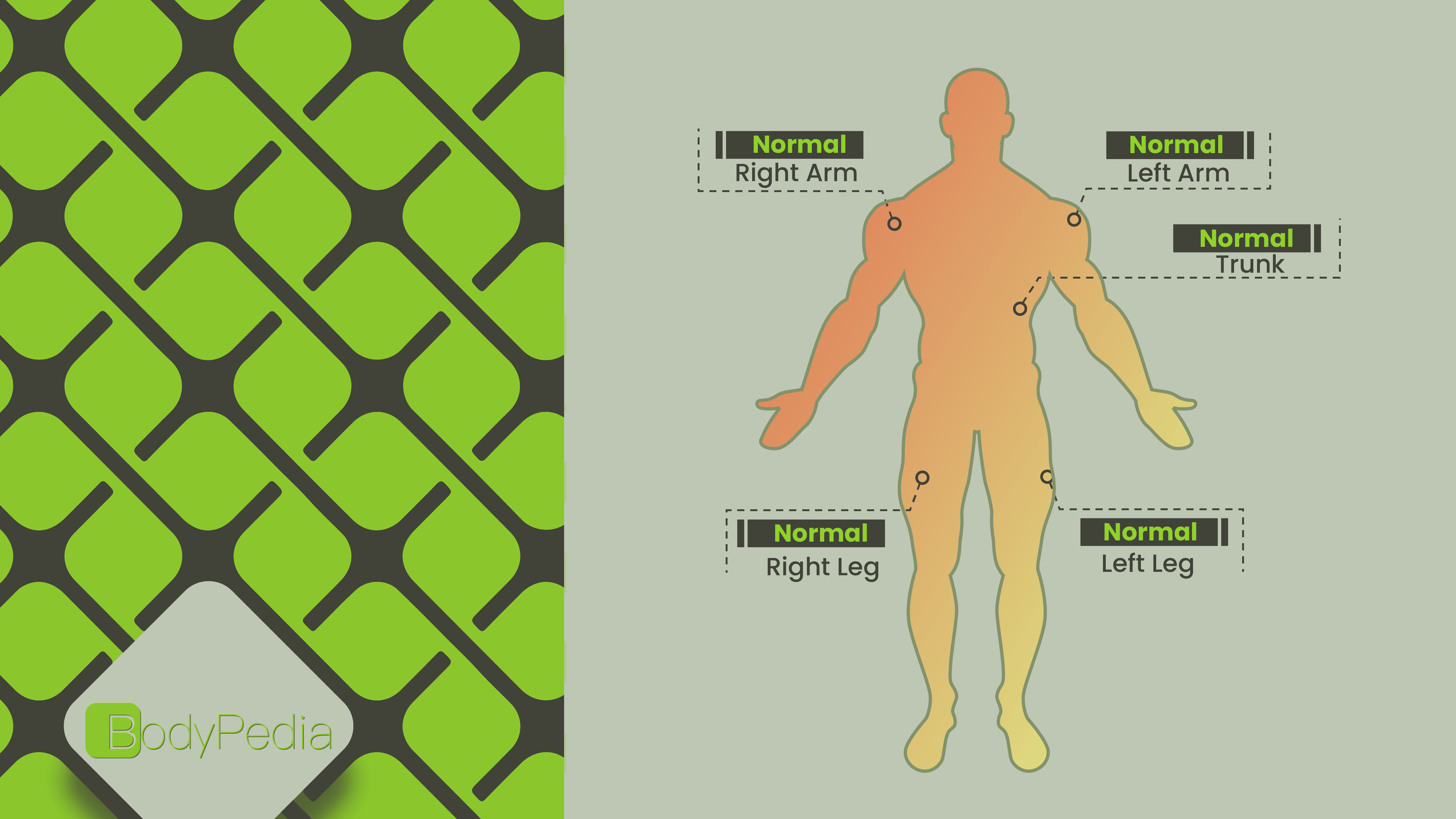 segmental body fat