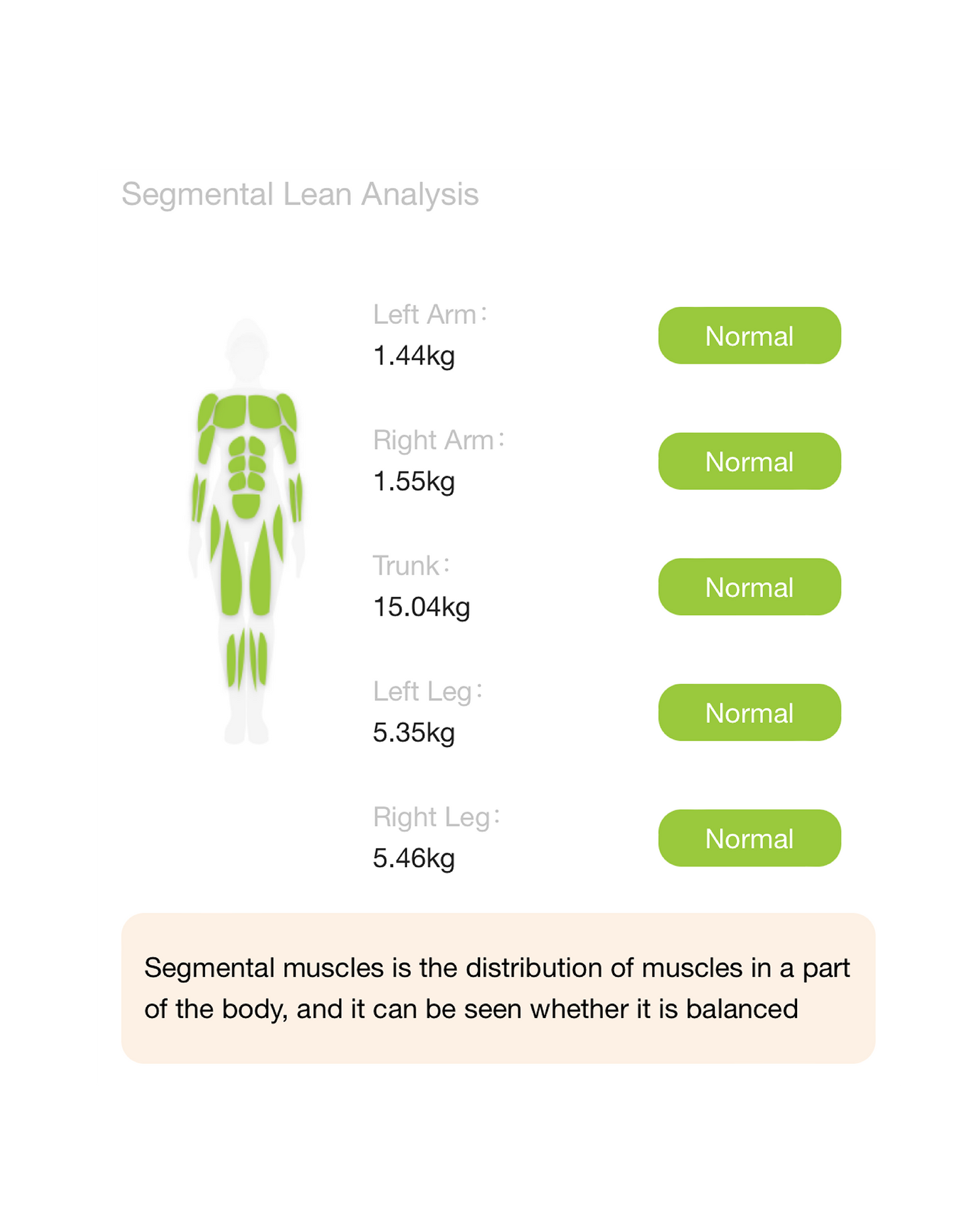 segmental muscle mass