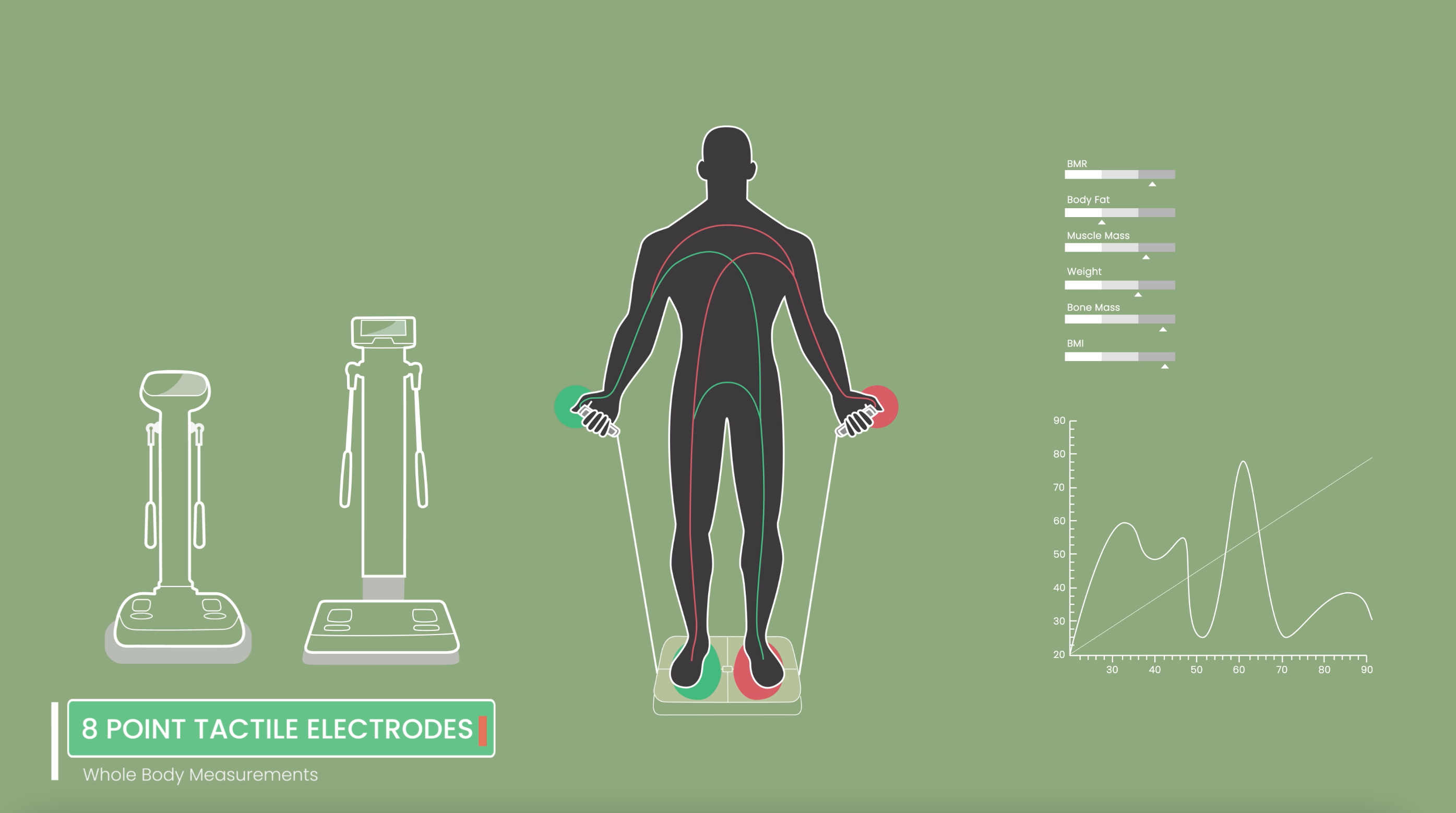 bodypedia smart body analyzer, body fat scale