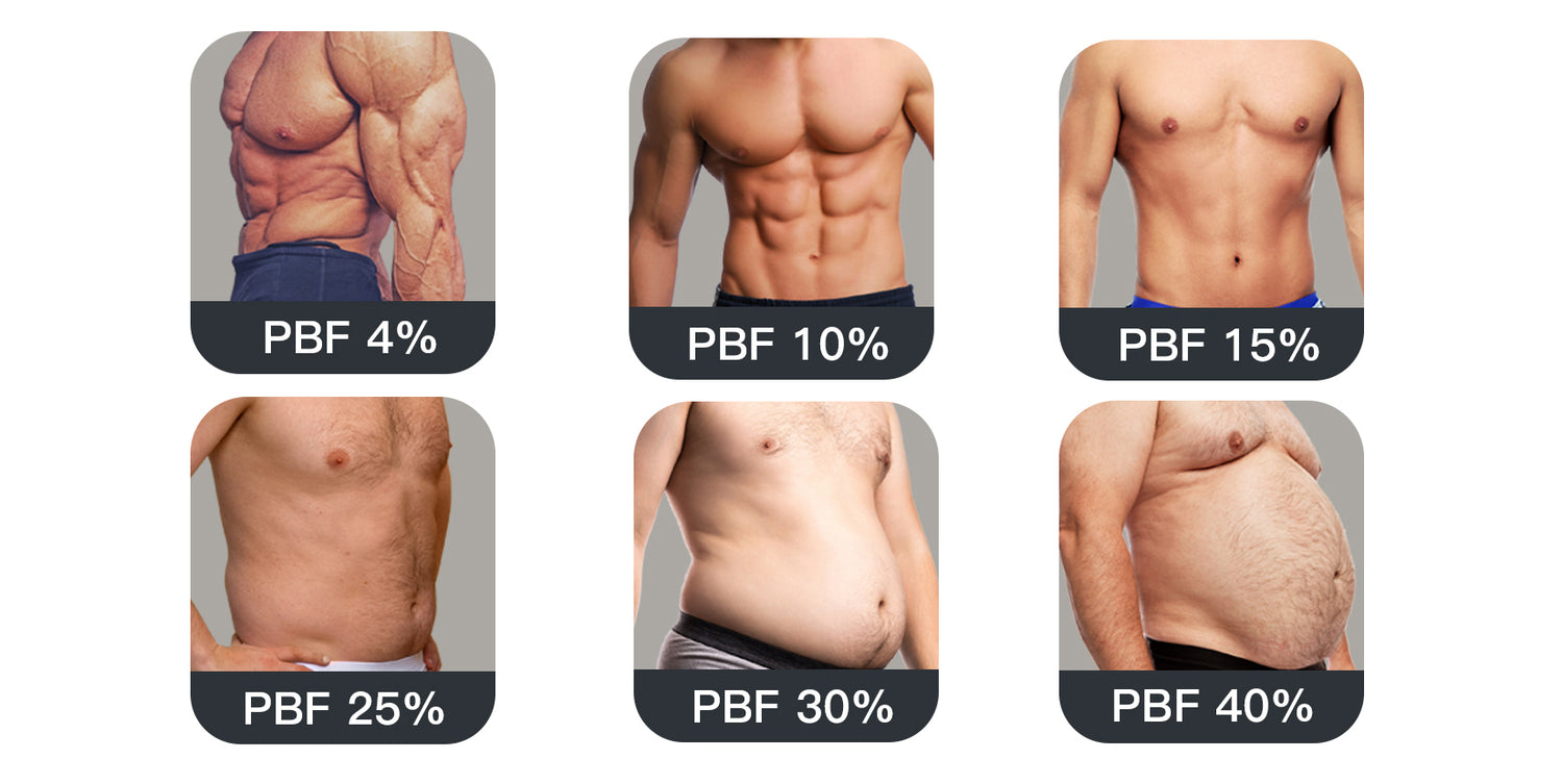 Body Composition: Definition, Measurement, and Improvement