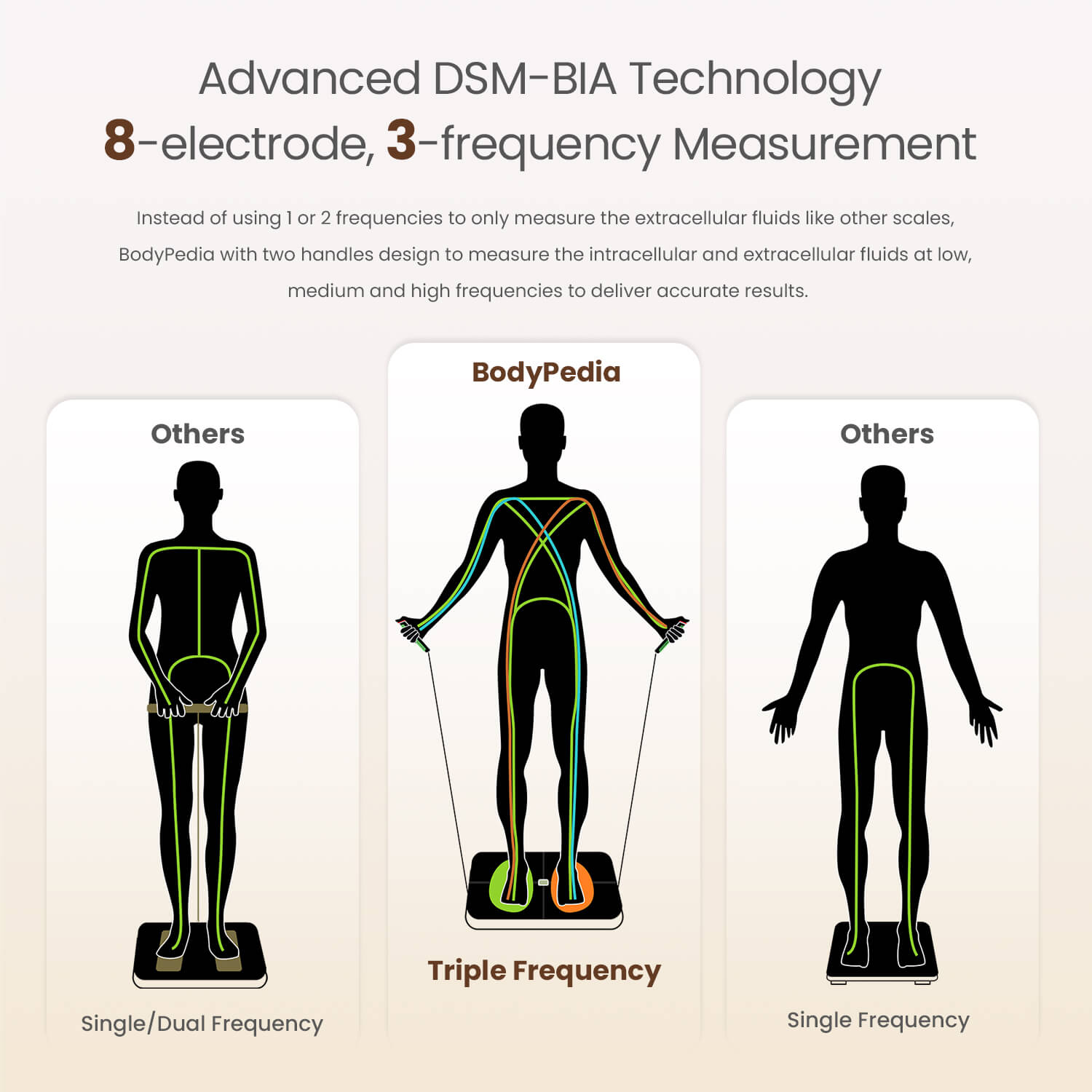 BodyPedia Body Composition Scale