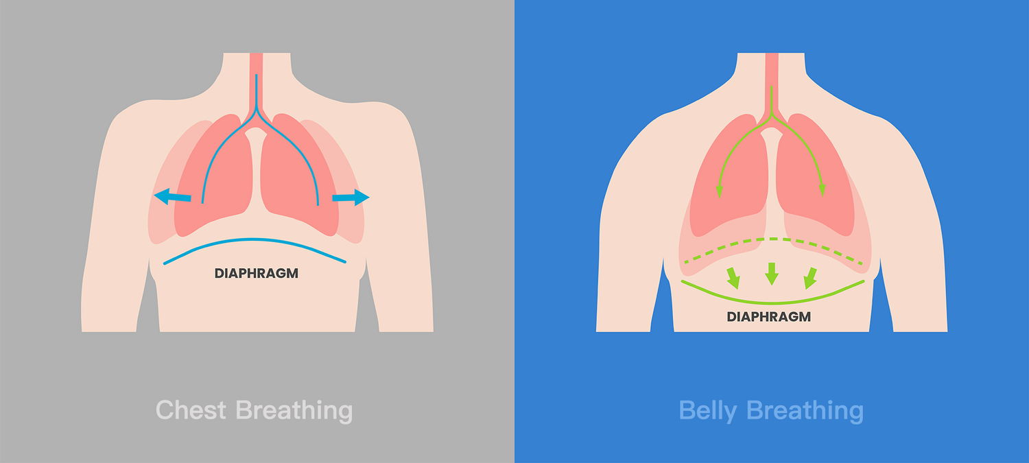chest breathing vs belly breathing